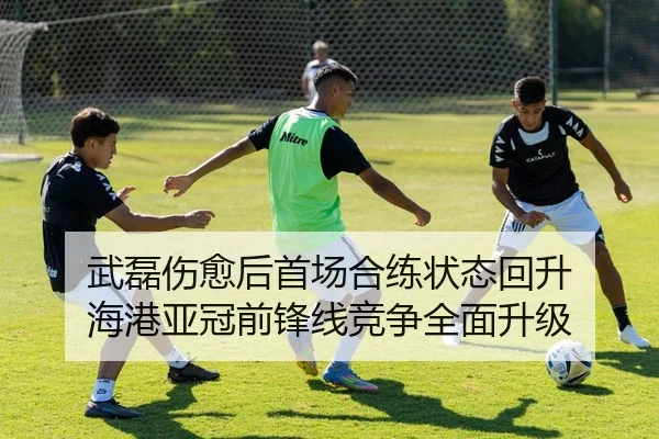 武磊伤愈后首场合练状态回升 海港亚冠前锋线竞争全面升级