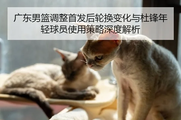 广东男篮调整首发后轮换变化与杜锋年轻球员使用策略深度解析
